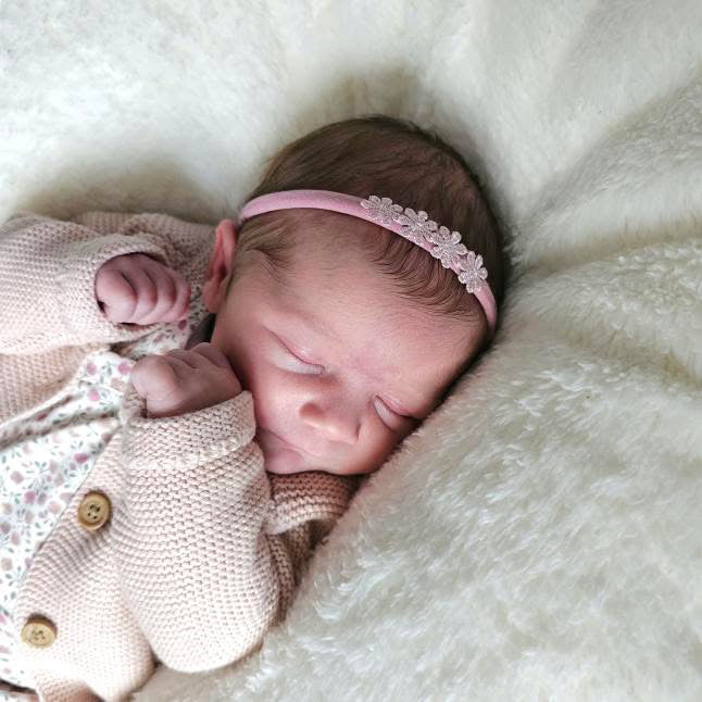 Dusky delicate daisy flowers - Clip or headband